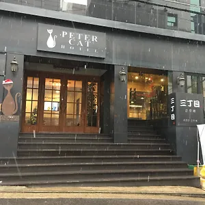 3* Hotel Petercat Shinchon